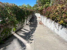 Load image into Gallery viewer, Bridgepoint Hospital – Trench Drain Rehabilitation
