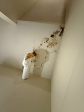 Load image into Gallery viewer, Art Gallery of Ontario - Stairwell 5 Rehabilitation
